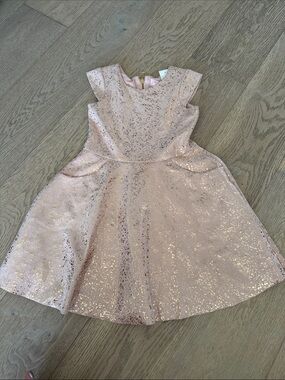 Zoe Ltd Rose Gold Sparkle Party Dress